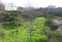 IMG-20180410-WA0080