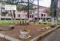 Изображение WhatsApp 2025-10-27 в 11.50.52_945b5f7a