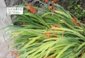 IMG-20191003-WA0037