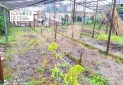 IMG-20210111-WA0068