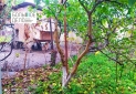 IMG-20210111-WA0077