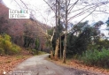 IMG_20220110_160716