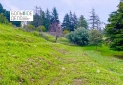 IMG-20220510-WA0018