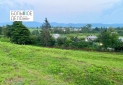 IMG-20220510-WA0023