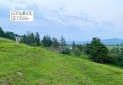 IMG-20220510-WA0024