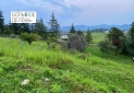 IMG-20220510-WA0025