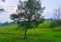 IMG-20220510-WA0026