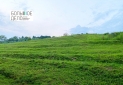 IMG-20220510-WA0027
