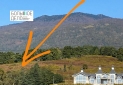 IMG-20220510-WA0031