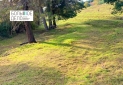 IMG-20220510-WA0033