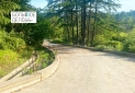 IMG-20220526-WA0039