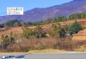 IMG_20230113_142130