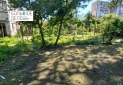 IMG-20220525-WA0024
