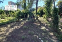 IMG-20220525-WA0035