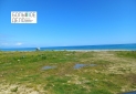 IMG-20220525-WA0037