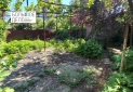 IMG-20220525-WA0054
