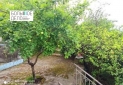 IMG_20220712_184709