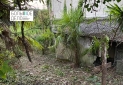 IMG-20221006-WA0065