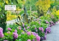 IMG-20220621-WA0024