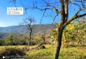 IMG_20230120_162807