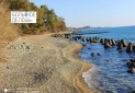 Земельный участок у моря в пригороде Сухум. Земельный участок у моря в пригороде Сухум.