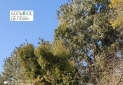 IMG_20230126_164755