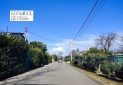 IMG-20230209-WA0001