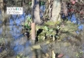 IMG-20230209-WA0013