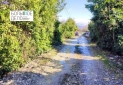 IMG-20230209-WA0017