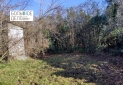 IMG-20230209-WA0020