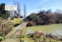 IMG-20230209-WA0023