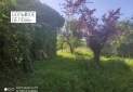 IMG_20230426_163530_1