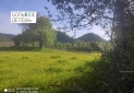 IMG_20230426_163602