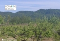 IMG_20230426_165212