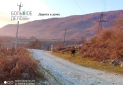 IMG_20230120_180326
