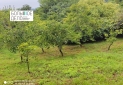 IMG_20230808_112110