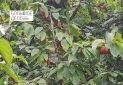 IMG_20230808_114913