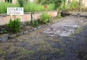 IMG-20230808-WA0003