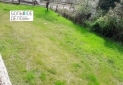 IMG-20230808-WA0052