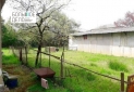 IMG-20230808-WA0053