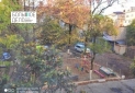 IMG_20231117_163129