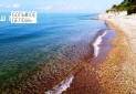 IMG-20231122-WA0042