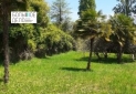 IMG-20231122-WA0050
