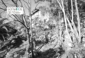 IMG-20231207-WA0018