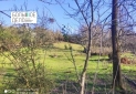 IMG_20240318_172827