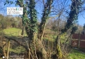 IMG_20240318_173349