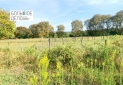 IMG-20240307-WA0003