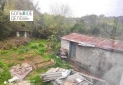 IMG_20240410_162948