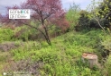 IMG_20240411_143830
