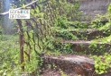 IMG_20240411_143942
